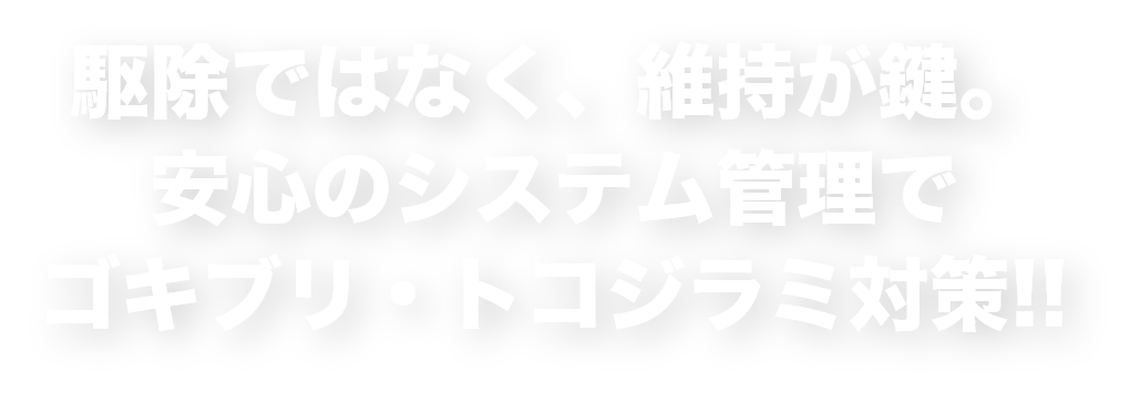 京都の飲食店のゴキブリ、トコジラミ駆除はソービーズにお任せ！！