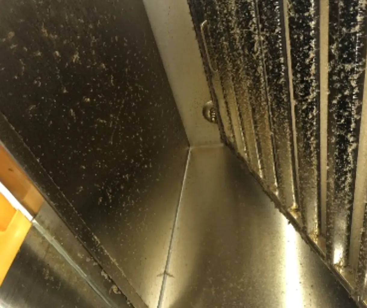 [洗浄前のレンジフードの画像]