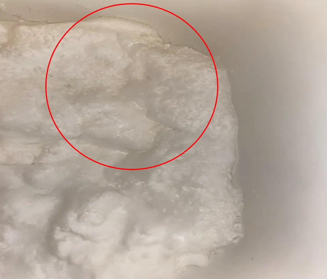 水面に黄色い皮脂汚れやカスが浮き上がっている様子。